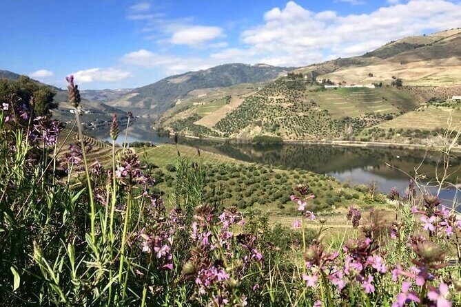 Douro Valley and Régua Panoramic Cruise with Lunch from Porto - Lunch onboard: good value, and usually better than you’d expect
