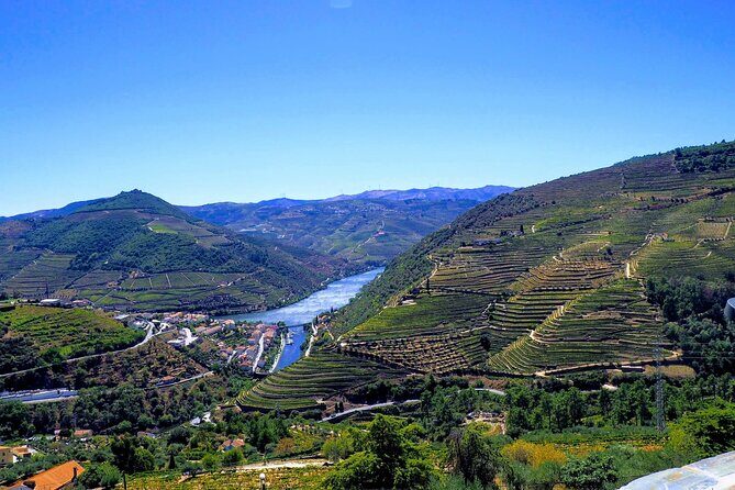 Douro Valley and Régua Panoramic Cruise with Lunch from Porto - The long cruise stretch: where outside time pays off