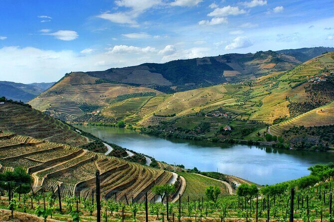 Douro Valley and Régua Panoramic Cruise with Lunch from Porto - Price and value: why this is often a fair deal