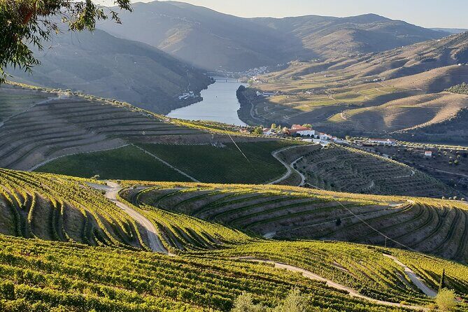 Douro Valley Best-Of Private Tour – Fully Customizable Experience - Pinhão: tiled station vibes plus riverside photo spots