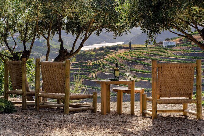 Douro Valley Best-Of Private Tour – Fully Customizable Experience - Guides and pacing: why Nuno, Tiago, Monica, and others matter