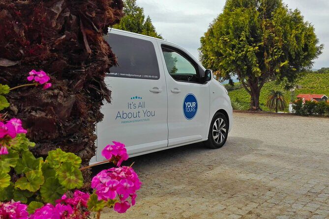 Douro Valley Best-Of Private Tour – Fully Customizable Experience - Pickup from Porto, Braga, or Guimarães (and why you’ll thank yourself)
