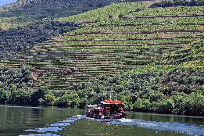 Douro Valley-Expert Guide-Boat-Lunch-Tastings-Offer wine bottle - Key Highlights You’ll Feel Immediately