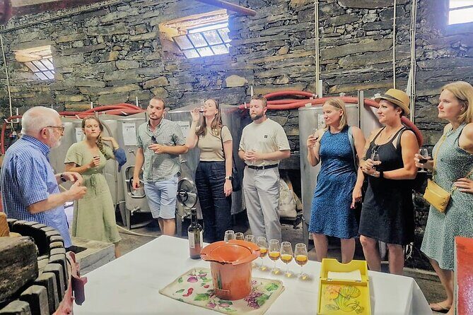 Douro Valley-Expert Guide-Boat-Lunch-Tastings-Offer wine bottle - Miradouro Torguiano: Port Wine Lessons With a View