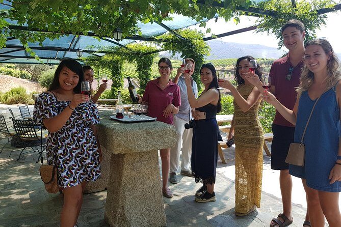 Douro Valley for Wine Lovers with Visit to 4 Wineries and Lunch - Key Highlights That Matter Before You Go