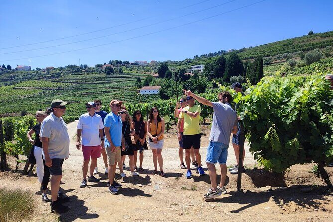 Douro Valley for Wine Lovers with Visit to 4 Wineries and Lunch - Douro Valley Day Trip From Porto: Long, Scenic, and Wine-Forward