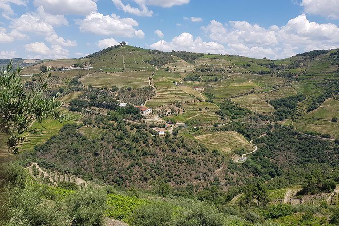 Douro Valley for Wine Lovers with Visit to 4 Wineries and Lunch - Four Winery Visits: How the Tastings Usually Flow