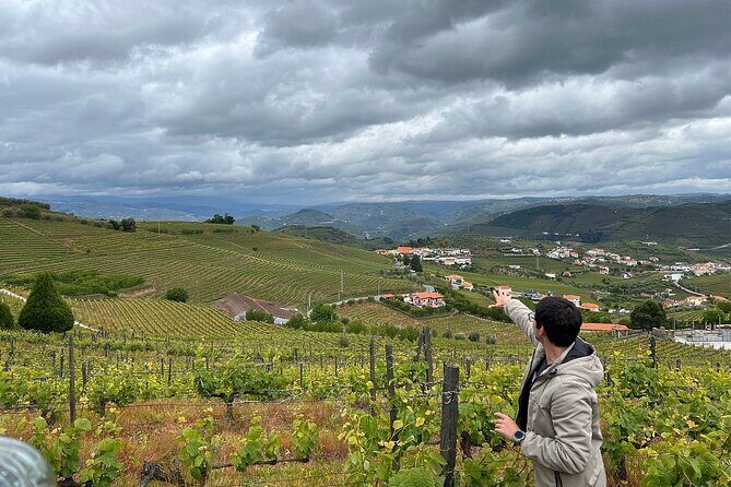 Douro Valley for Wine Lovers with Visit to 4 Wineries and Lunch - Timing, Road Comfort, and the One Thing to Plan For