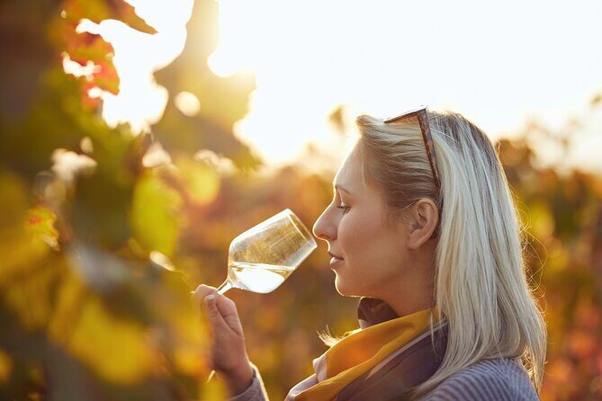 Douro Valley: Historical Sites, Wine Experience, Lunch & Cruise - The Porto add-on: free walking tour the next day