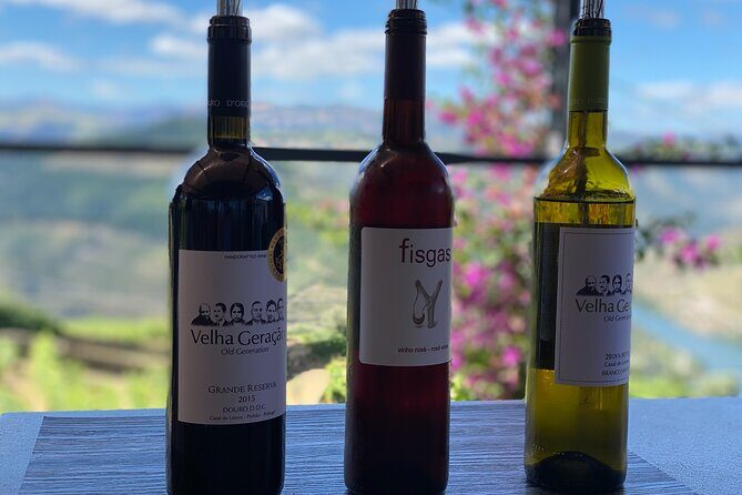 Douro Valley in a Tesla - Start in Porto, then lock into a small-group rhythm
