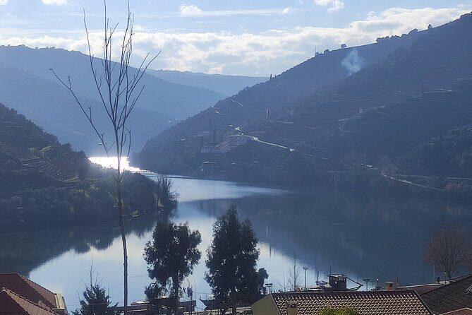 Douro valley Majestic - The boat ride on the Douro: the moment you’ll remember