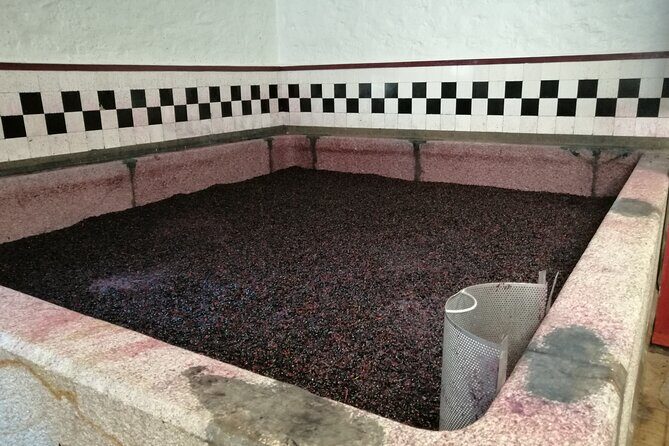 Douro valley Majestic - Who this tour fits best (and who should look elsewhere)