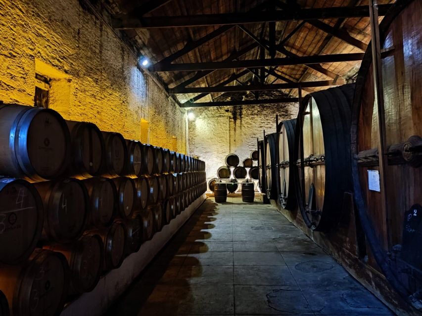 Douro Valley: (Pinhão) Quinta da Foz - Tour&Tasting 5 WINES - The 5 wines you’ll taste (and what the lineup teaches you)