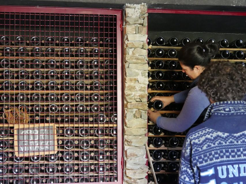 Douro Valley: Premium Port Tasting Winery Tour & River Views - Key things to know before you go