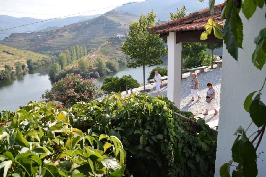 Douro Valley: Premium Port Tasting Winery Tour & River Views - Arriving at Folgosa: The “between Régua and Pinhão” Douro stop