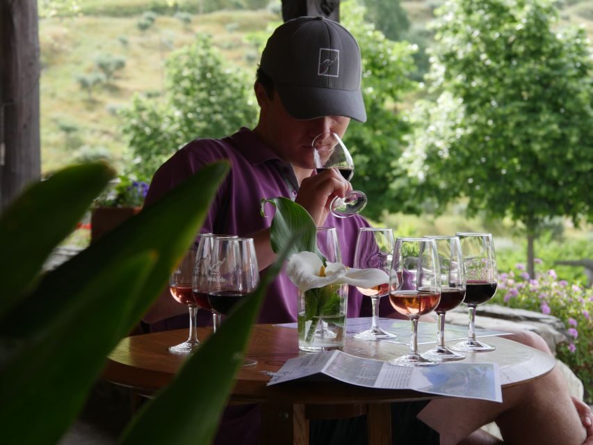 Douro Valley: Premium Port Tasting Winery Tour & River Views - Historic lagares and foot-treading: Seeing tradition, not just hearing it