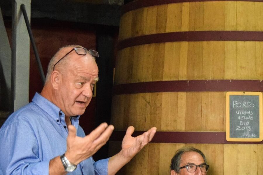 Douro Valley: Premium Port Tasting Winery Tour & River Views - The tasting room flight: 3 Ports or 3 DOC reds, plus olive oil