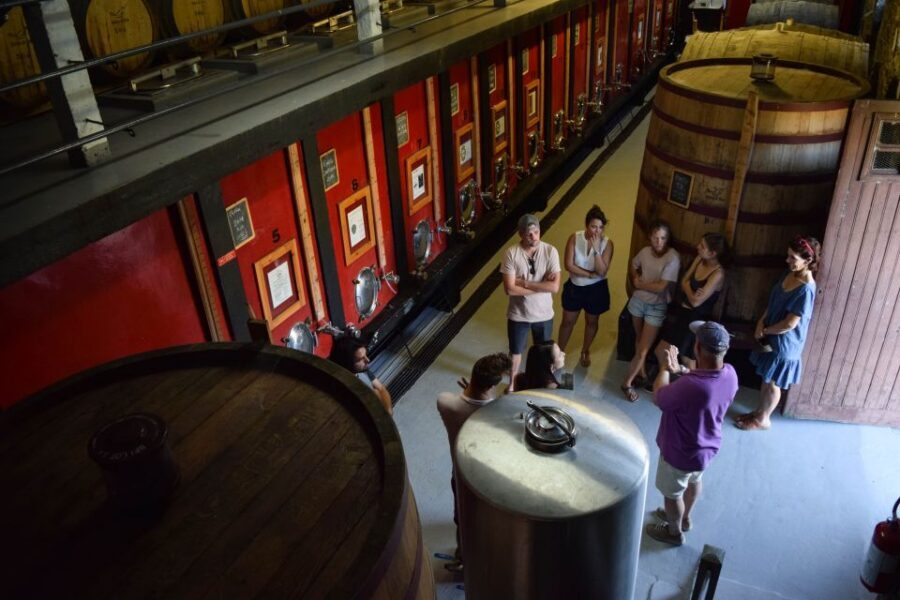 Douro Valley: Premium Port Tasting Winery Tour & River Views - Should you book this Douro Valley Premium Port Tasting Tour?