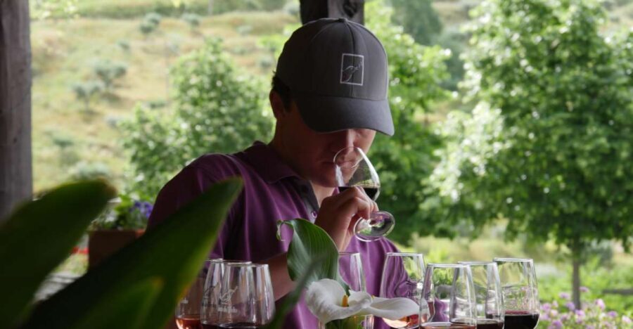 Douro Valley: Premium Port Tasting Winery Tour & River Views - The cellar visit: Why aging changes the taste of Port and DOC