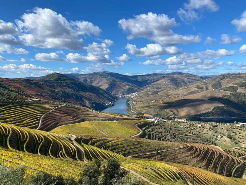 DOURO VALLEY: Premium Wine Tour, Winery Lunch & Private Boat - N222 on the road: viewpoint time between Pinhão and Peso da Régua