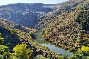 Douro Valley Prime Tour: Wine Tastings, Boat & Lunch from Porto - Ponte Pedonal Metalica de Peso da Régua: Your first true Douro view