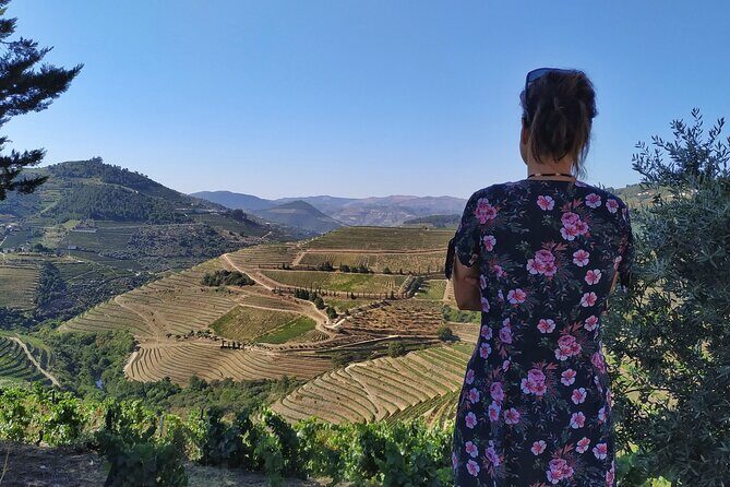 Douro Valley Prime Tour: Wine Tastings, Boat & Lunch from Porto - Quinta do Panascal: Granite tanks, wooden barrels, and Port with river views