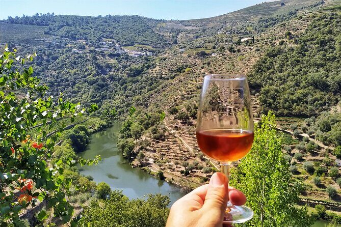 Douro Valley Prime Tour: Wine Tastings, Boat & Lunch from Porto - The small-boat cruise: see the river while someone else handles the steering