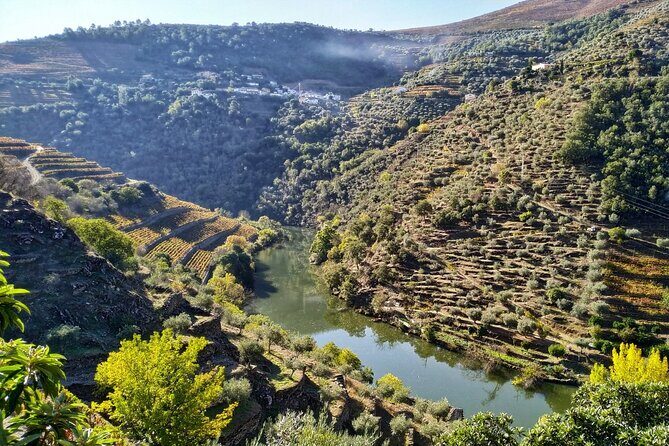 Douro Valley Prime Tour: Wine Tastings, Boat & Lunch from Porto - Ponte Pedonal Metalica de Peso da Régua: Your first true Douro view