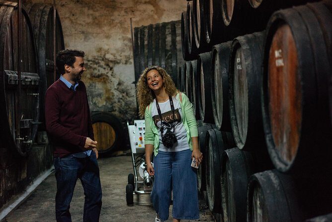 Douro Valley Private Day Trip including Boat Ride & Wine Tasting - Private Douro Valley Day Trip: what you’re really buying