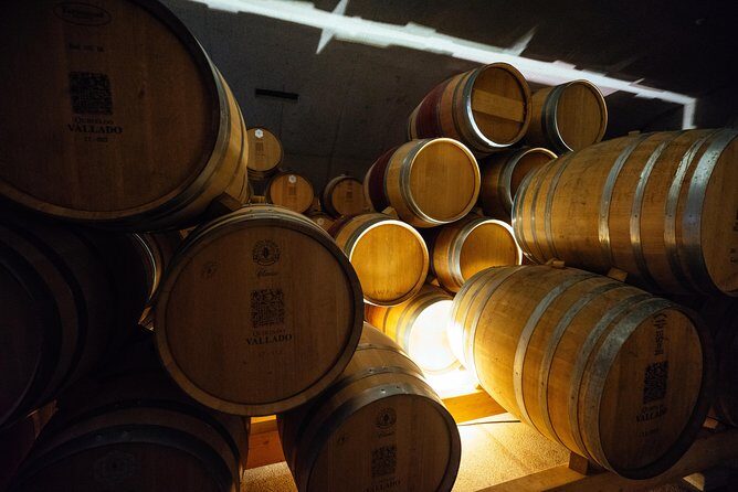 Douro Valley Private Day Trip including Boat Ride & Wine Tasting - The Douro River boat ride: relaxing views, limited time