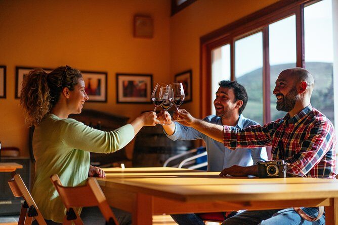 Douro Valley Private Day Trip including Boat Ride & Wine Tasting - Price check: is $325.32 per person good value?