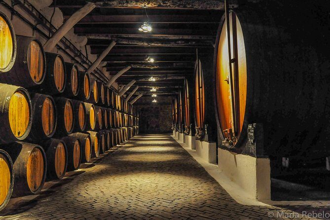 Douro Valley Private Full–Day Tour from Porto - Price and Value: What $720.14 per Group Buys You