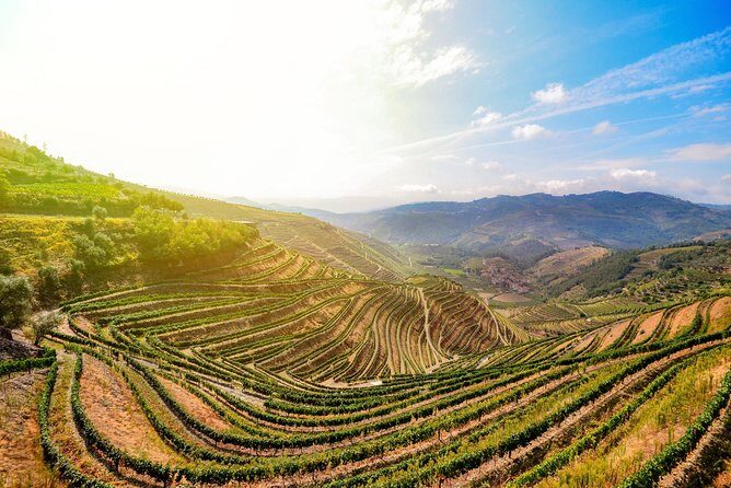 Douro Valley Private Full–Day Tour from Porto - Stop 2: Ponte Pedonal Metalica de Peso da Régua (15 minutes, free)