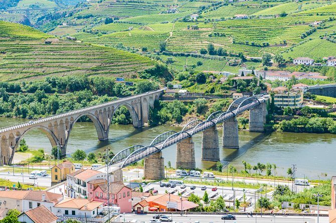 Douro Valley Private Full–Day Tour from Porto - Stop 5: Quinta de São Luís (1 hour 20 minutes, visit + wine tasting)