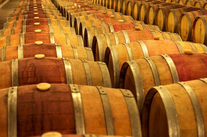 Douro Valley Private Full–Day Tour from Porto - Stop 6: Pinhão One-Hour Boat Trip (1 hour)