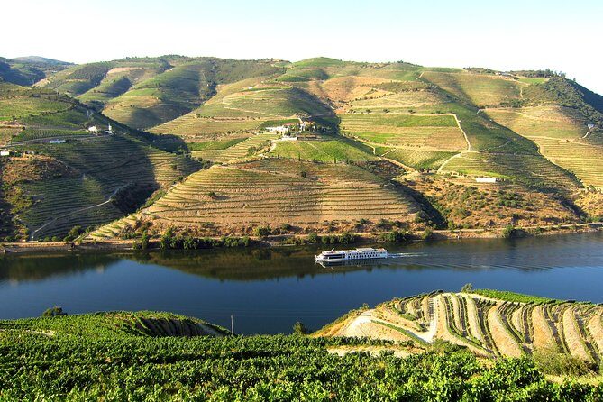Douro Valley Private Full–Day Tour from Porto - The 10-Hour Flow: What Your Day Looks Like