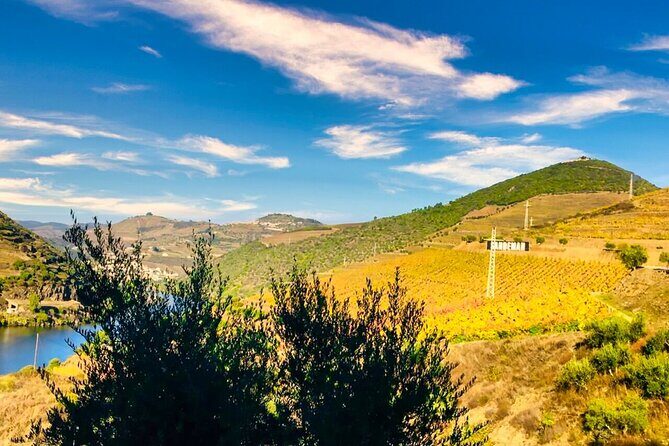 Douro Valley Private Tour: 2 Farms, Lunch & Boat Trip - Two Farms and a Boat Ride From Porto: The Big Picture