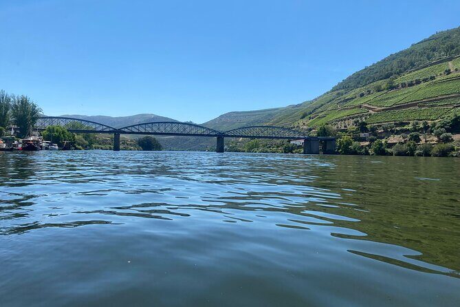 Douro Valley Private Tour: 2 Farms, Lunch & Boat Trip - Sabrosa Lunch on a Wine Farm: Table Wine and Port