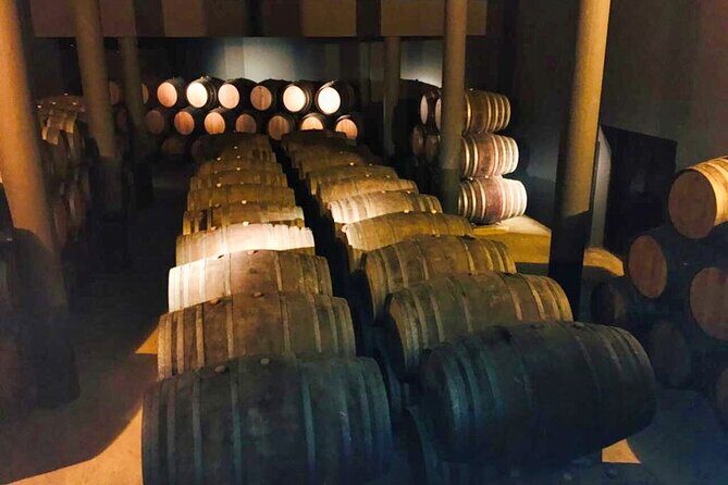 Douro Valley Private Tour: 2 Farms, Lunch & Boat Trip - Peso da Régua Village Time Before Heading Back
