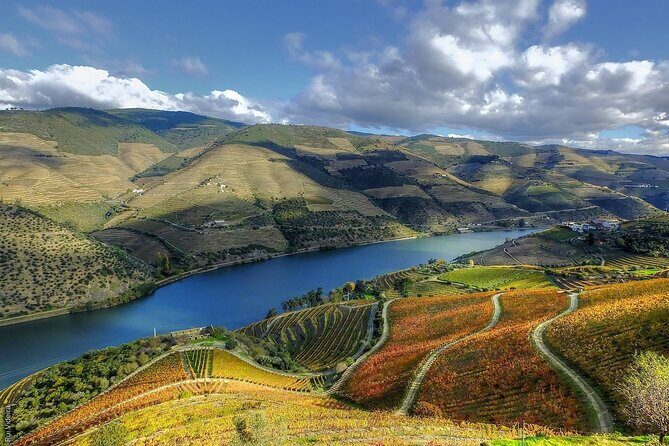 Douro Valley — Private UNESCO Wine & Cultural Experience - Wine tasting included: how to get more from the pours