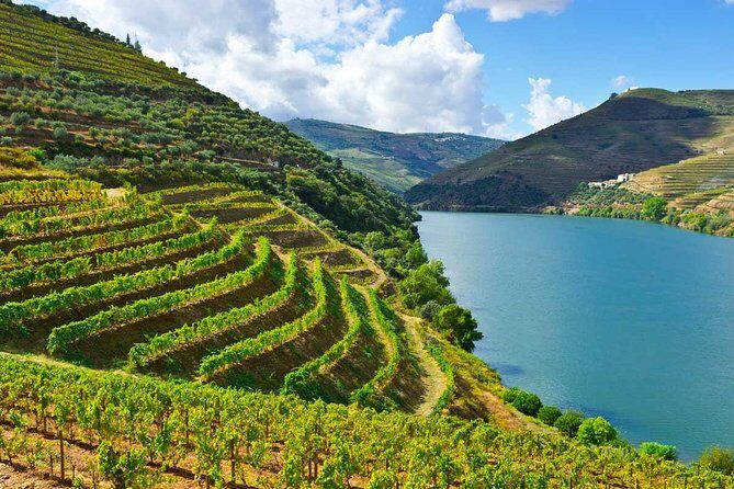 Douro Valley Private Wine and Food Tour From Porto - Key highlights that make this Douro tour a smart pick