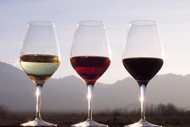 Douro Valley Private Wine and Food Tour From Porto - Why a private Douro Valley day from Porto feels different