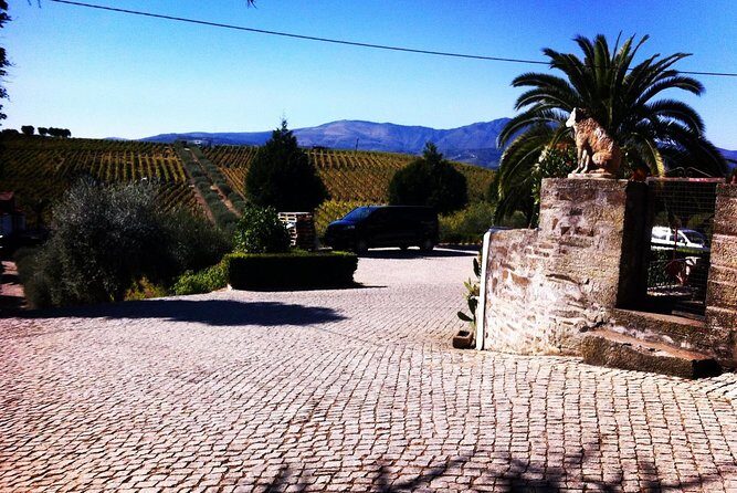 Douro Valley Private Wine and Food Tour From Porto - Casal de Loivos viewpoint stop: a short break with big rewards
