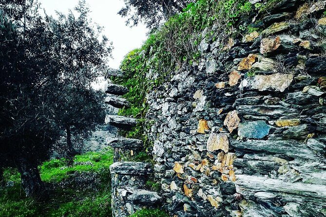 Douro Valley Private Wine and Food Tour From Porto - Stop 2: DOrigem for a second guided tasting