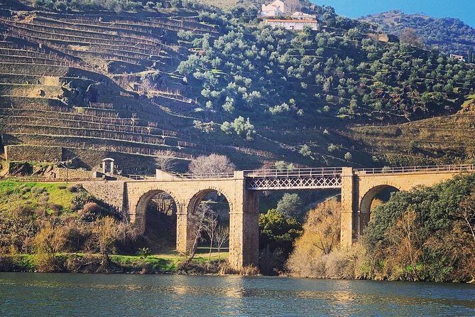 Douro Valley Private Wine and Food Tour From Porto - Guides make or break the day: what the best ones do