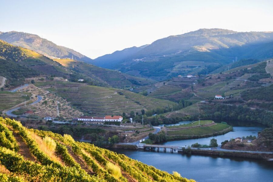 Douro Valley: Quinta do Tedo Wine Experience with Picnic - Key highlights you’ll care about