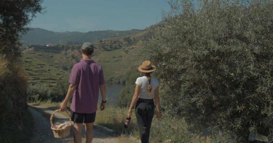 Douro Valley: Quinta do Tedo Wine Experience with Picnic - Getting there and staying comfortable (Folgosa reception, EN222 and M512)