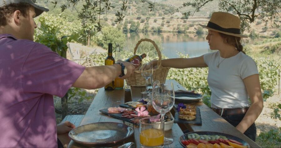 Douro Valley: Quinta do Tedo Wine Experience with Picnic - The 3-hour rhythm: 10h30 start, picnic at 12h30