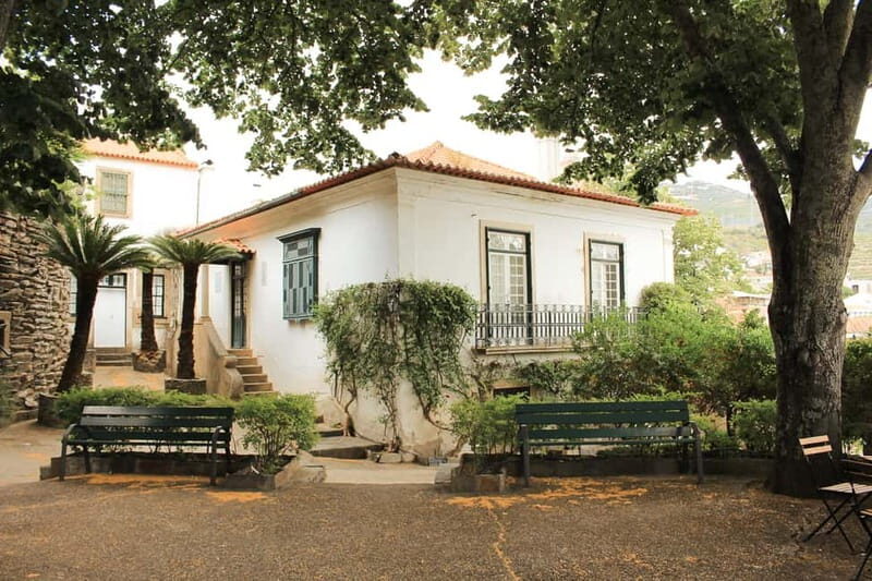 Douro Valley: Real Small-Group, Wine Tasting, Lunch & Boat - What to Bring: Simple Stuff That Makes Tastings Easier