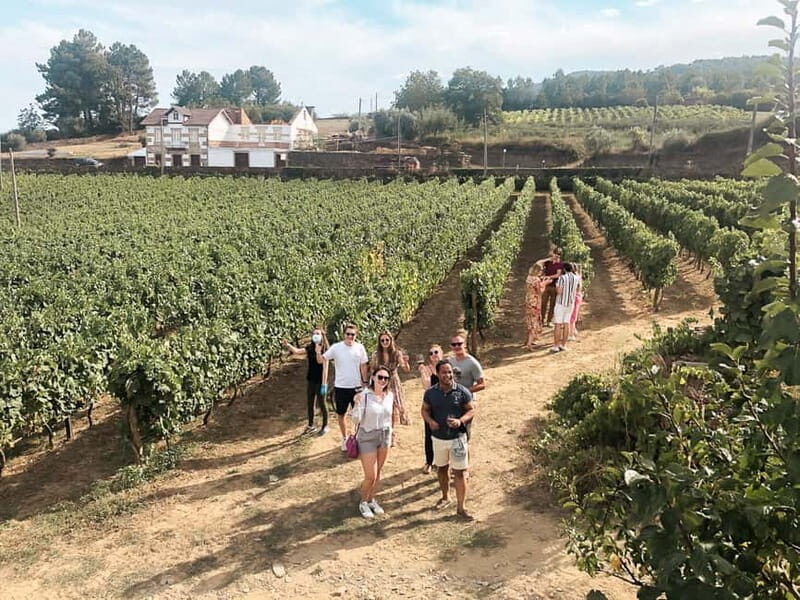 Douro Valley: Real Small-Group, Wine Tasting, Lunch & Boat - From Porto in a Small Minivan: Less Waiting, More Doing